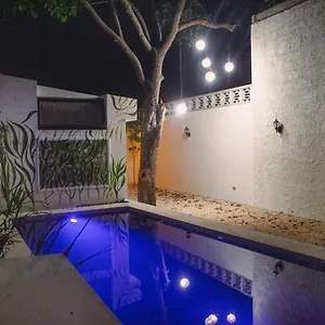 https://casa-del-prado-merida.hotelsmerida.org
